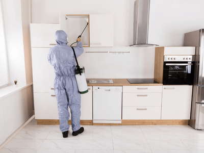 About Roach Control Willow Springs Lake - roach control experts in Willow Springs Lake