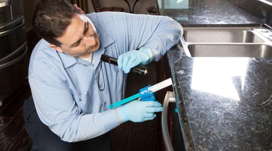 Professional roach control services in Willow Springs Lake - Roach Control Willow Springs Lake